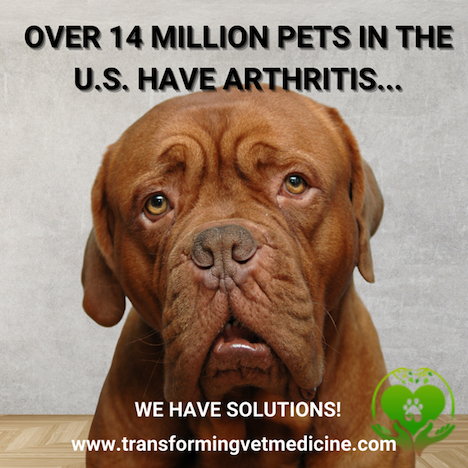Pet Food Feature - Keep them Mobile