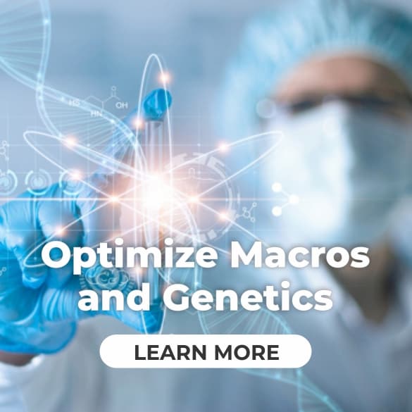 Kelley Herring, Macros and Genetics
