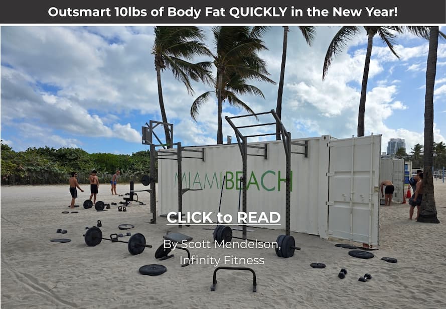 Scott Mendelson-Outsmart Fat