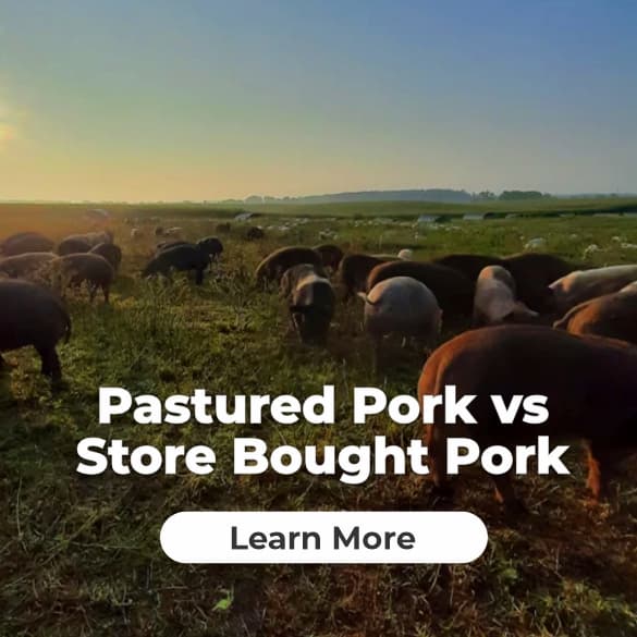 Product Feature - Pasture-raised Pork vs Store-Bought Pork