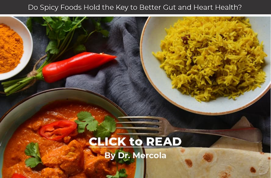 Mercola, spicy foods and gut health