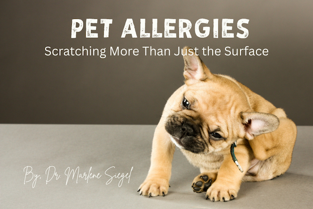 Pet Feature: Pet Allergies