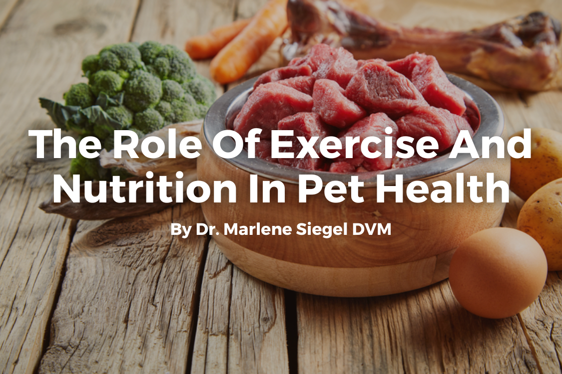 Pet Health