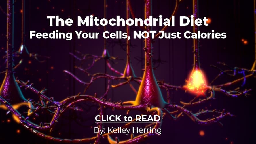 Kelley Herring, Mitochondrial Diet