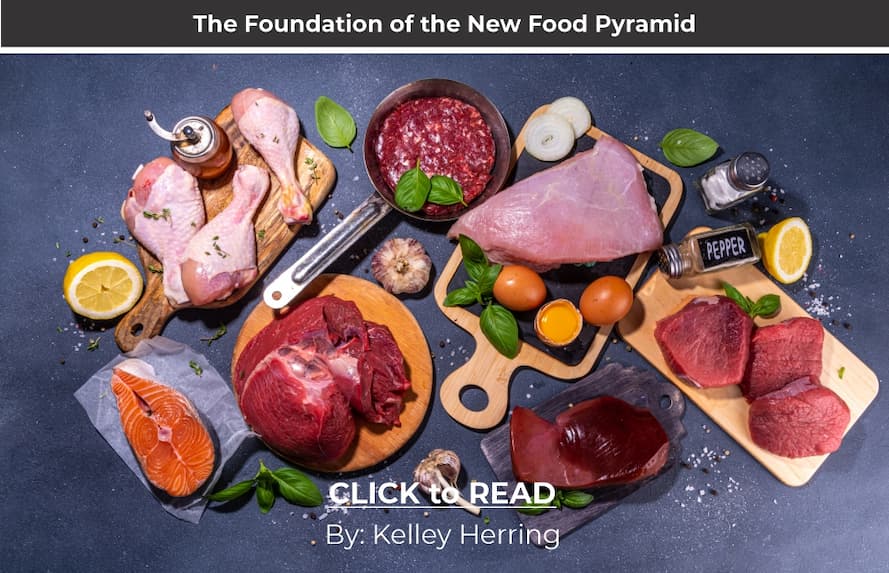 Kelley Herring, Food Foundations