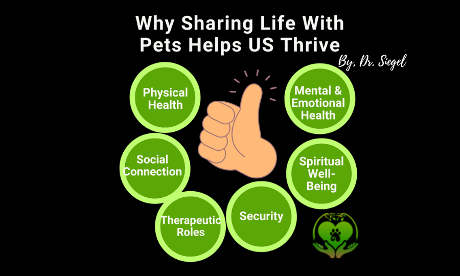 Pet Food Feature - Sharing Life with a Pet