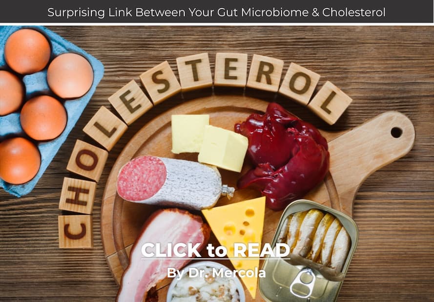 Mercola, Cholesterol, Gut Microbiome