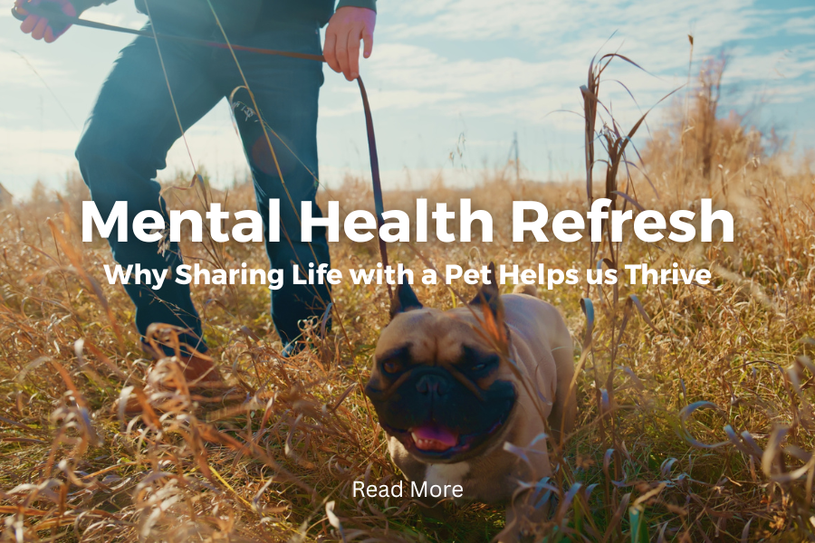 Why Sharing Life with a Pet Helps Us Thrive