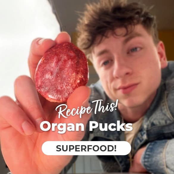 Ethan Paff, Organ Pucks