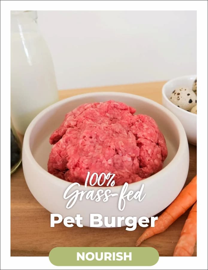 Pet Burger