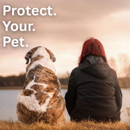 Pet Food Feature: Protect Your Pet