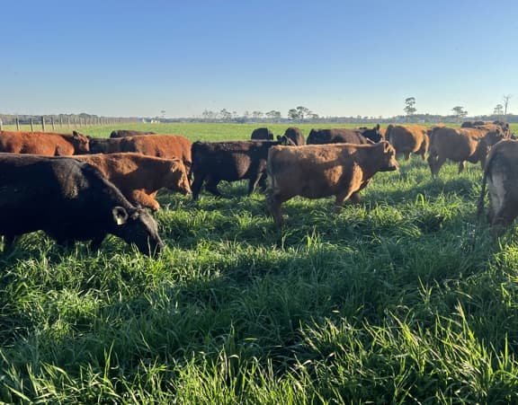 Rest, Recover, Regrow