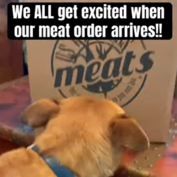 Shout Out - No Gluten Zone