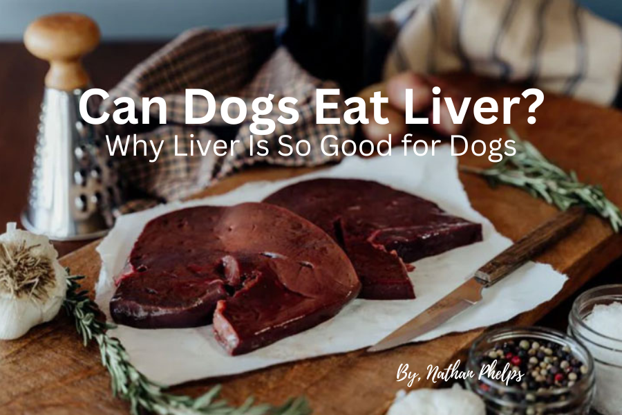Can Dogs Eat Liver? Why Liver Is So Good for Dogs