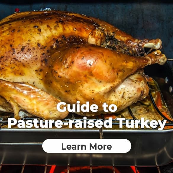 Why Pasture-raised Turkey is Ideal for Your Thanksgiving Feast