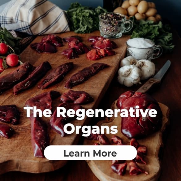 Regenerative Organs, Nutritional Powerhouse