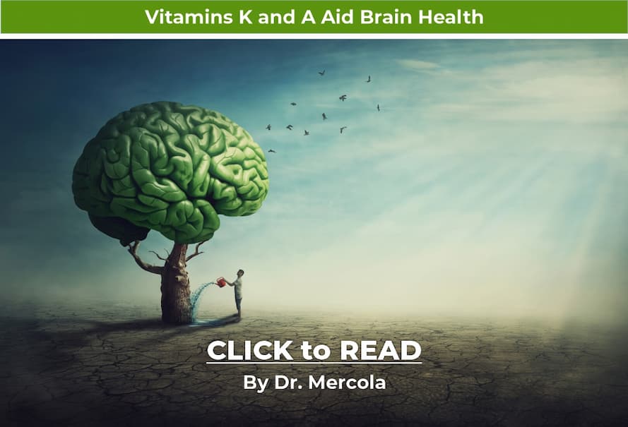 Mercola, Vitamin K, Vitamin A, Brain Health