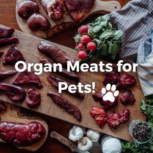 Organ Meats for Pets