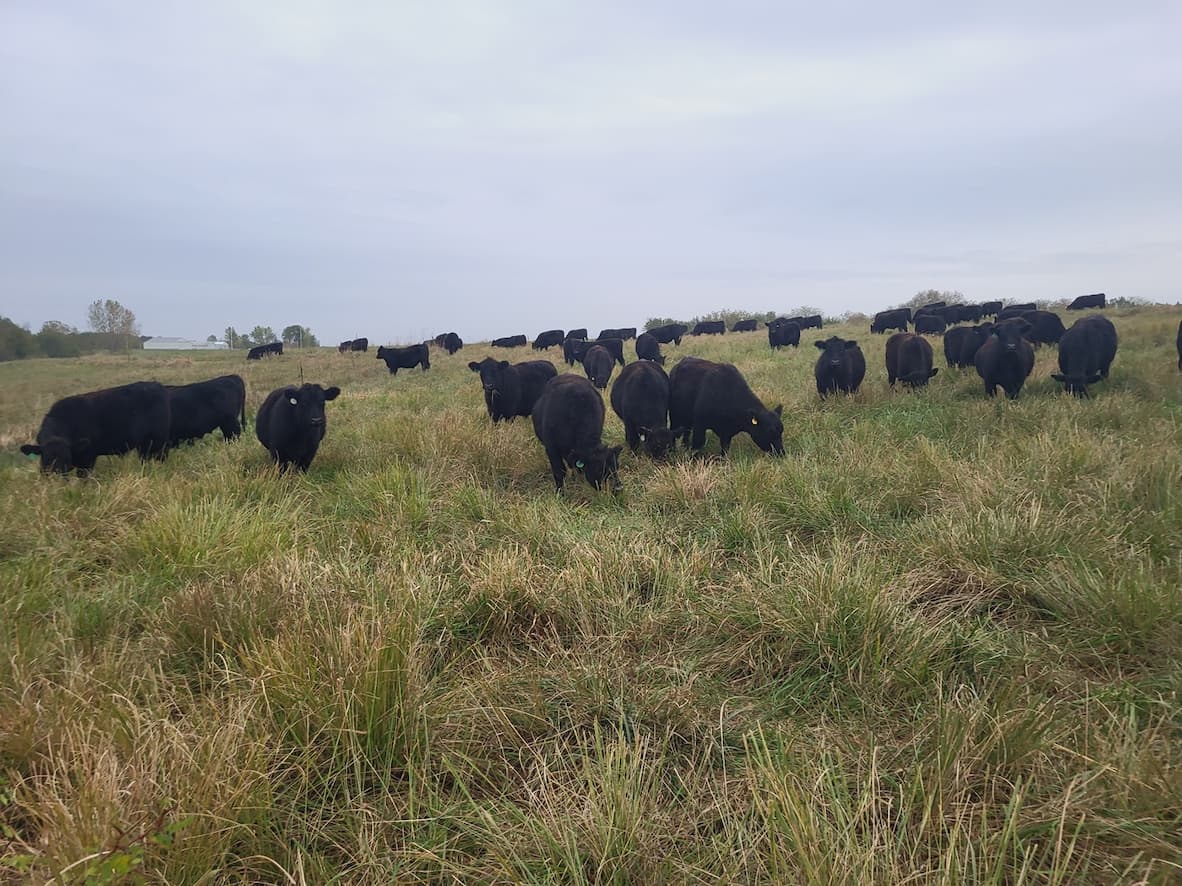 October Grazing and Winter Prep