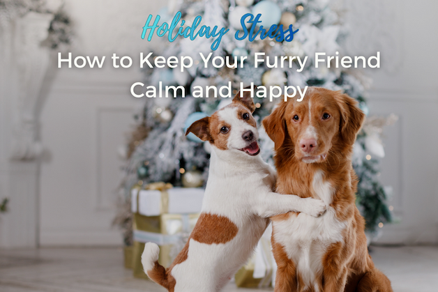 Keep your Pet Calm and Happy