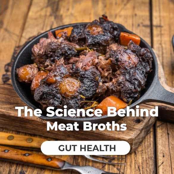 science of meat broth