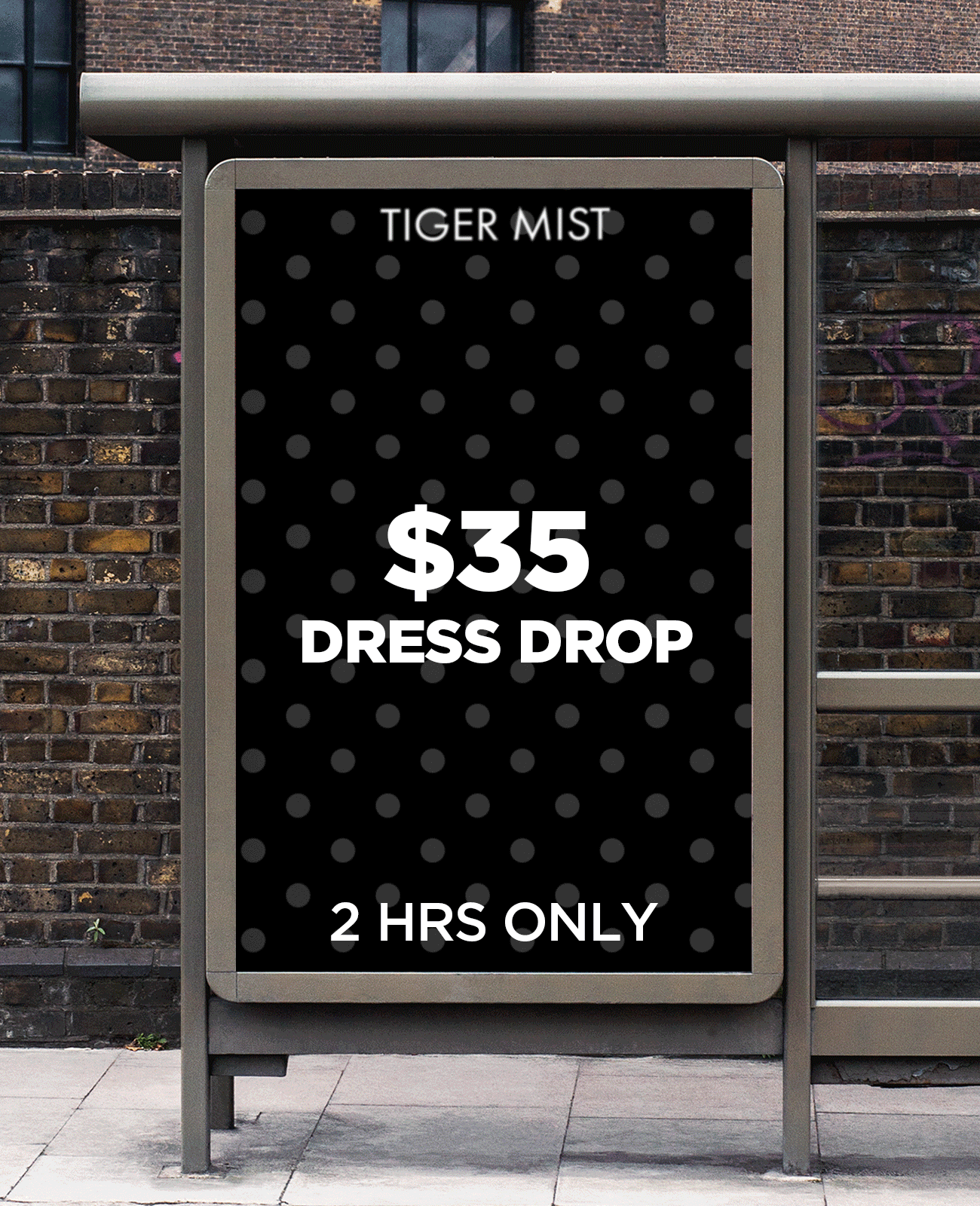 $35 DRESS PROMO