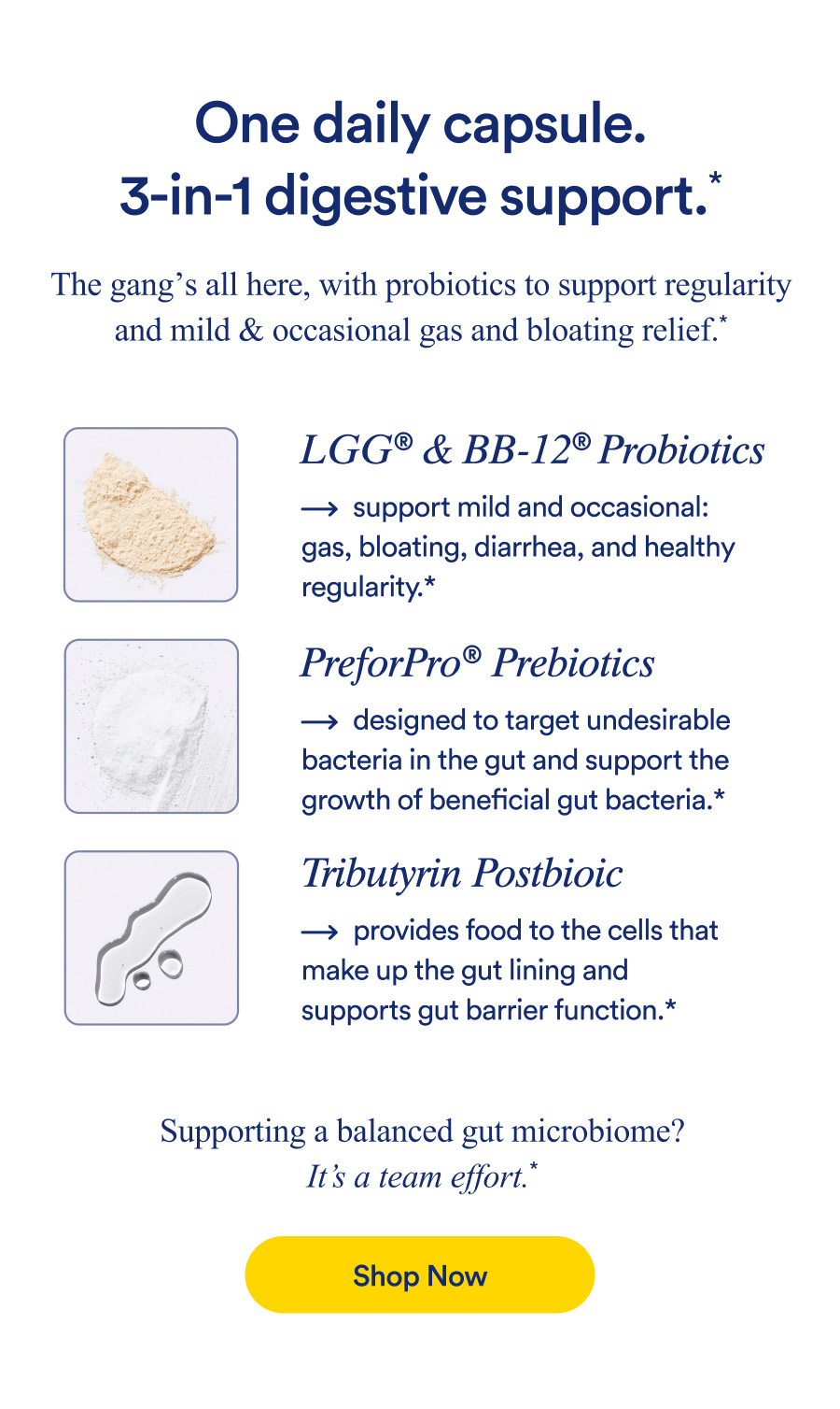 One daily capsule. 3-in-1 digestive support.