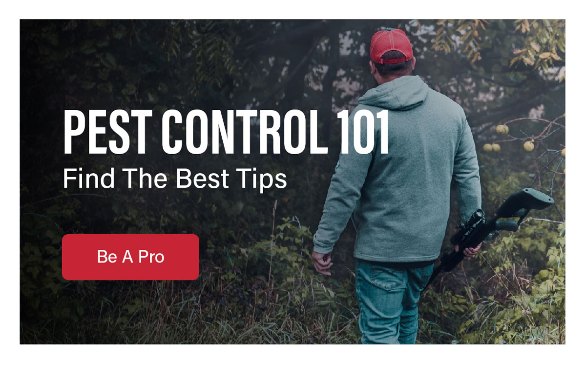 Pest Control 101