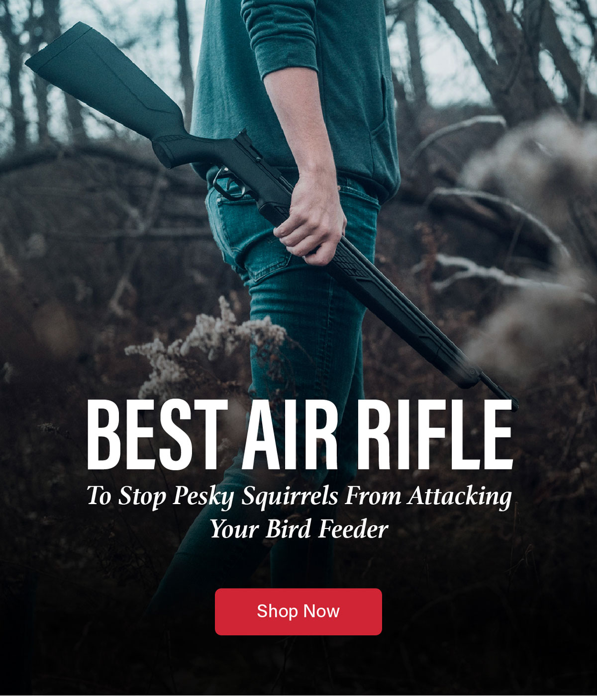 Best Air Rifle