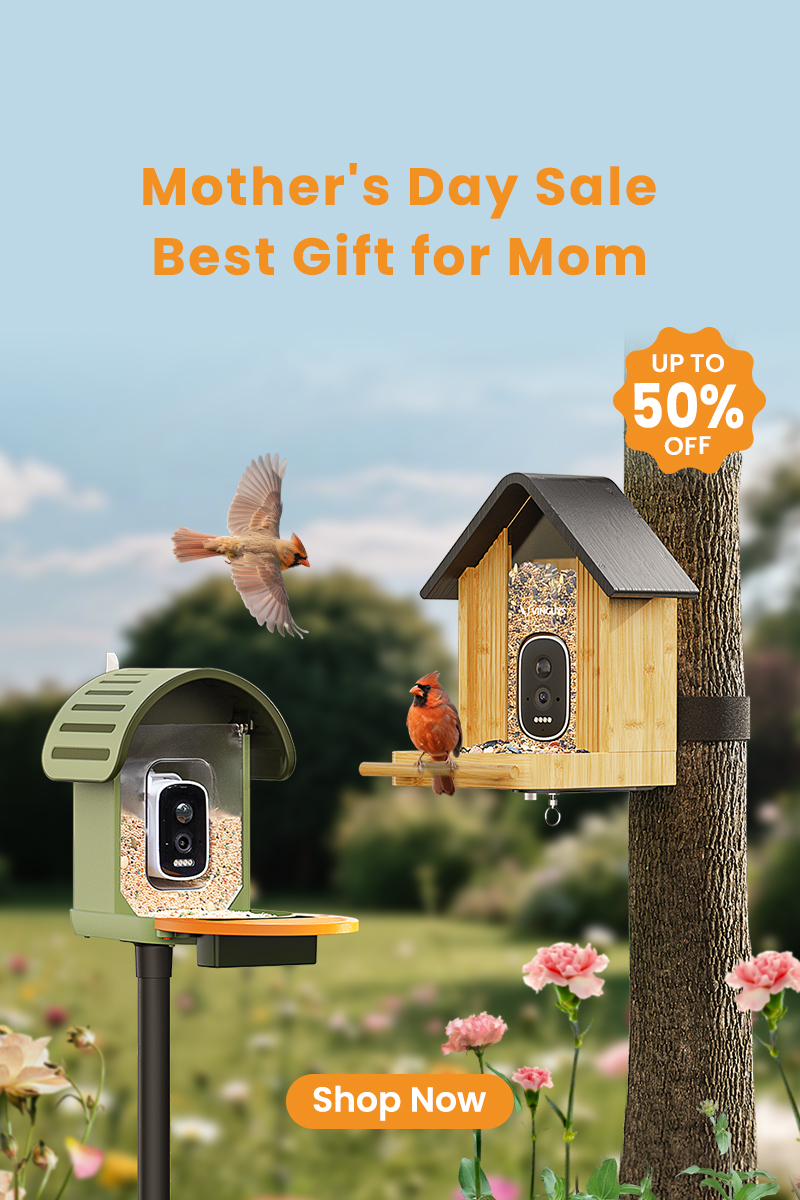 Mother's Day Sale 50% Off, Gift Mom Her Favorite