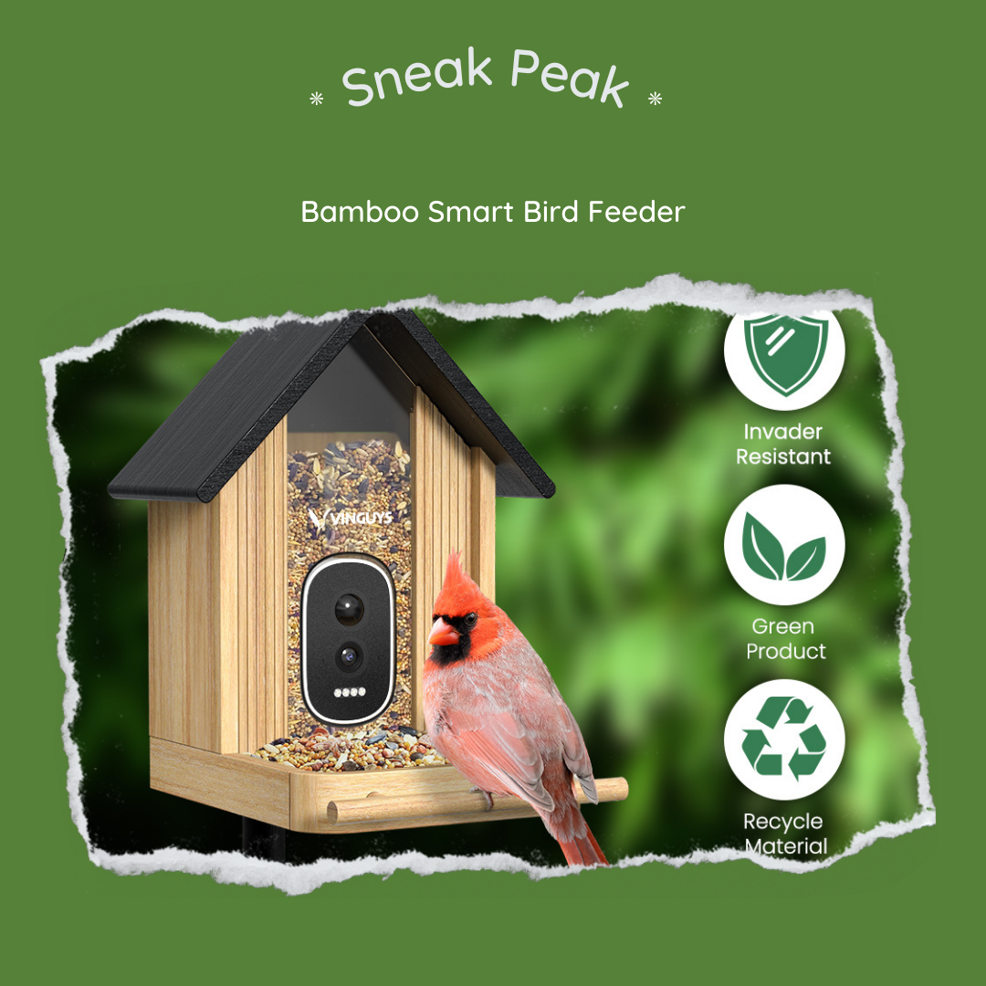 Animation of New Arrival Wines - Shop Now