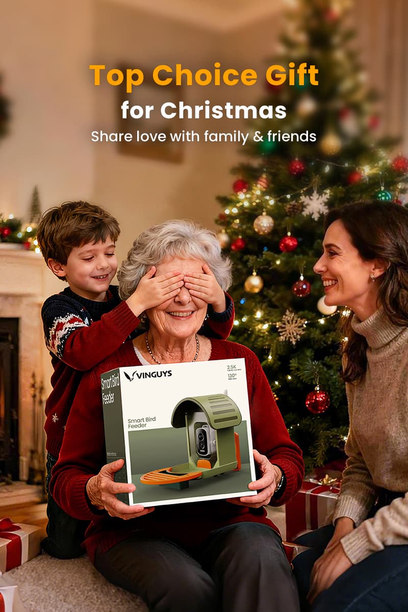 VINGUYS 2025 Christmas sale