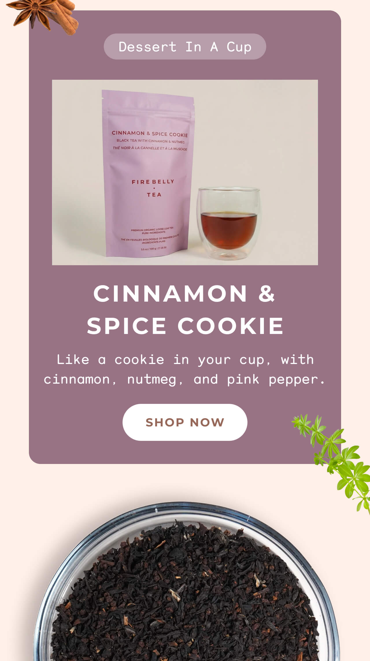 Cinnamon and Spice Cookie >