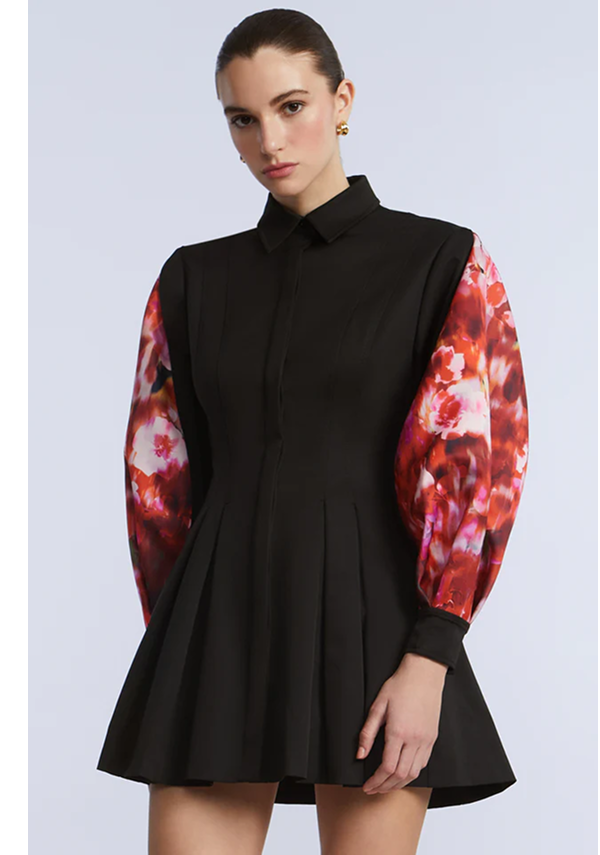 Taffeta Twill Printed Dress