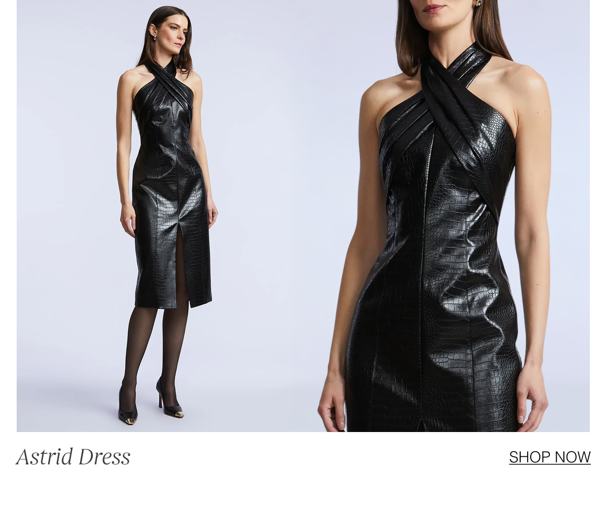 Shop the Astrid Dress