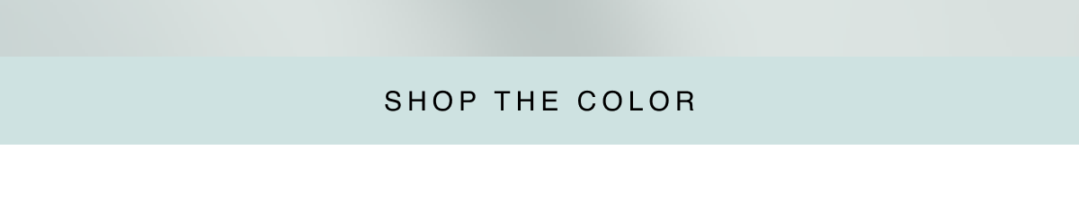 Shop the Color 