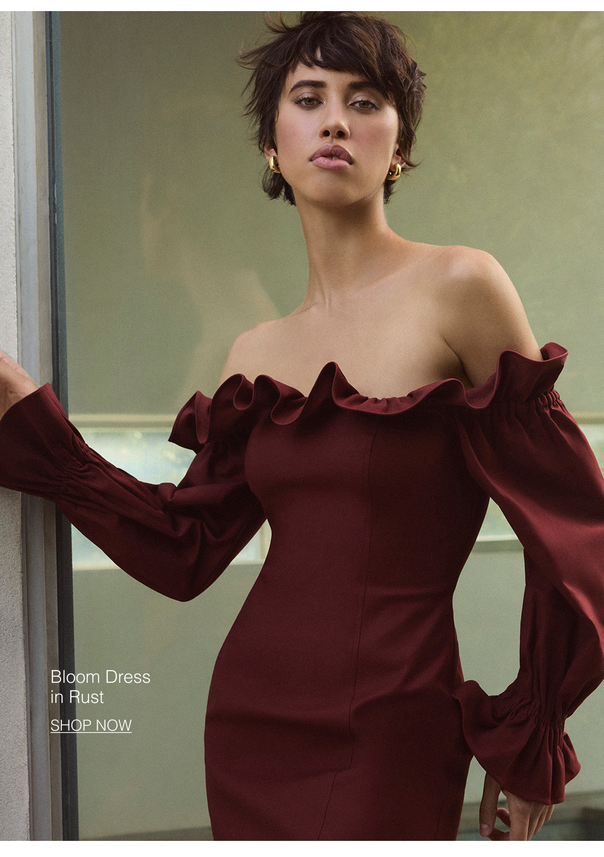 Shop the Bloom Dress in Rust