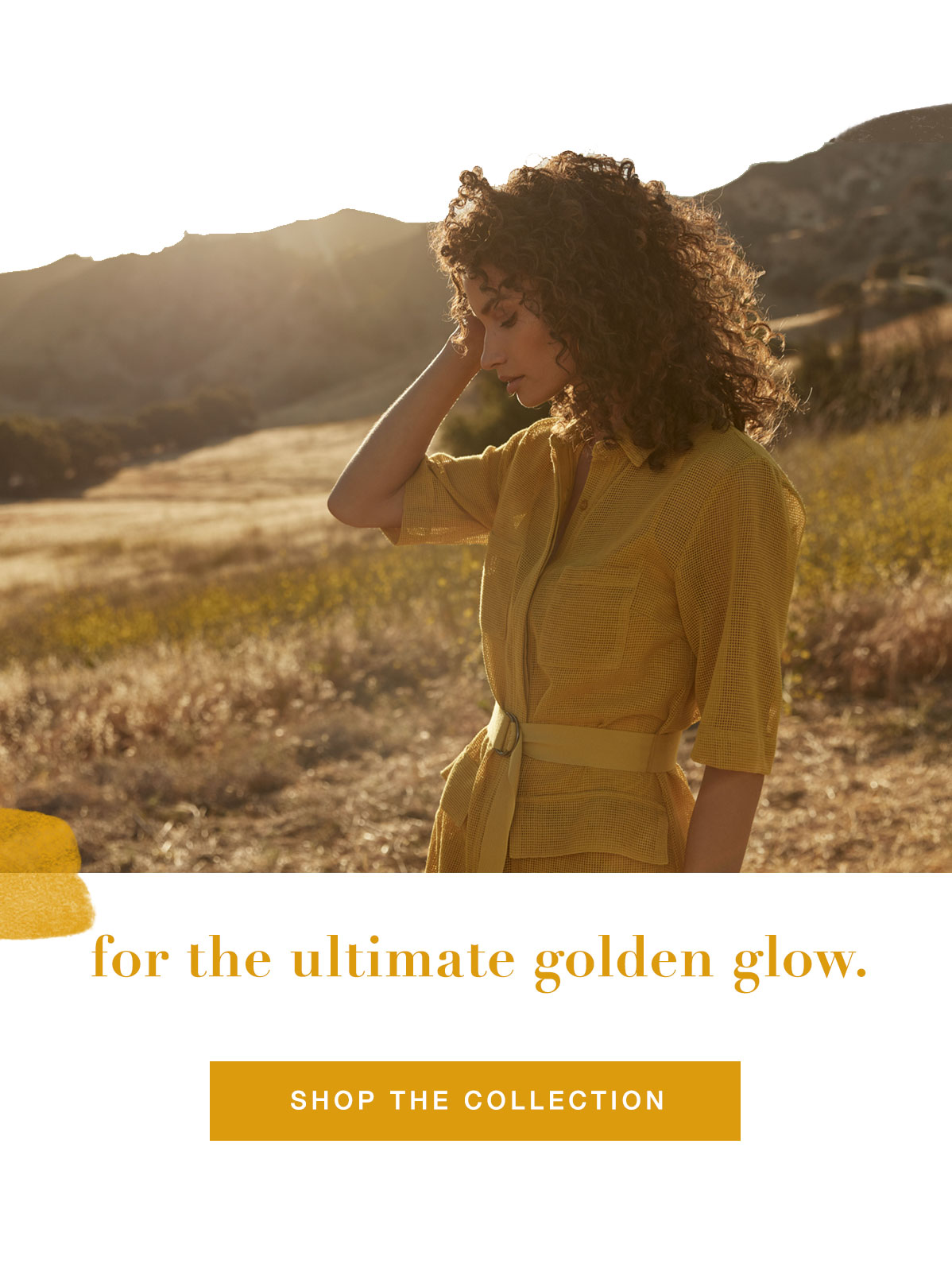 Shop the Collection