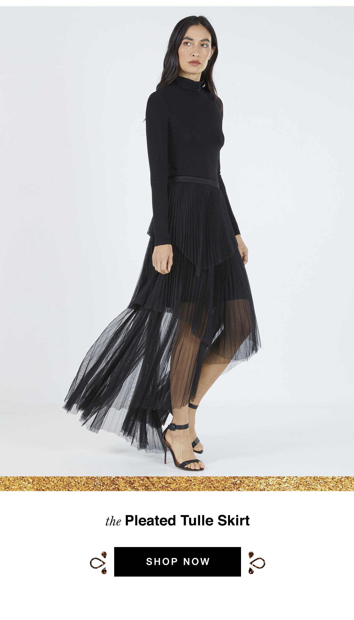 Pleated Tulle Skirt