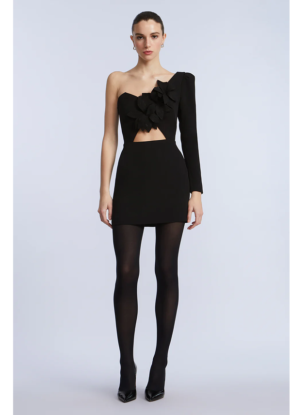 Puff Sleeve Mini Dress