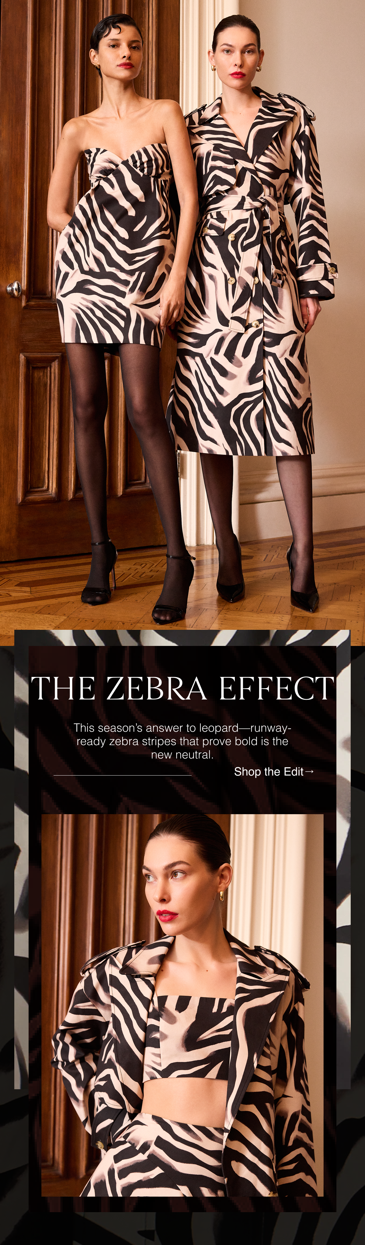 The Zebra Effect | This season's answer to leopard—runway-ready zebra stripes that prove bold is the new neutral. Shop the Edit
