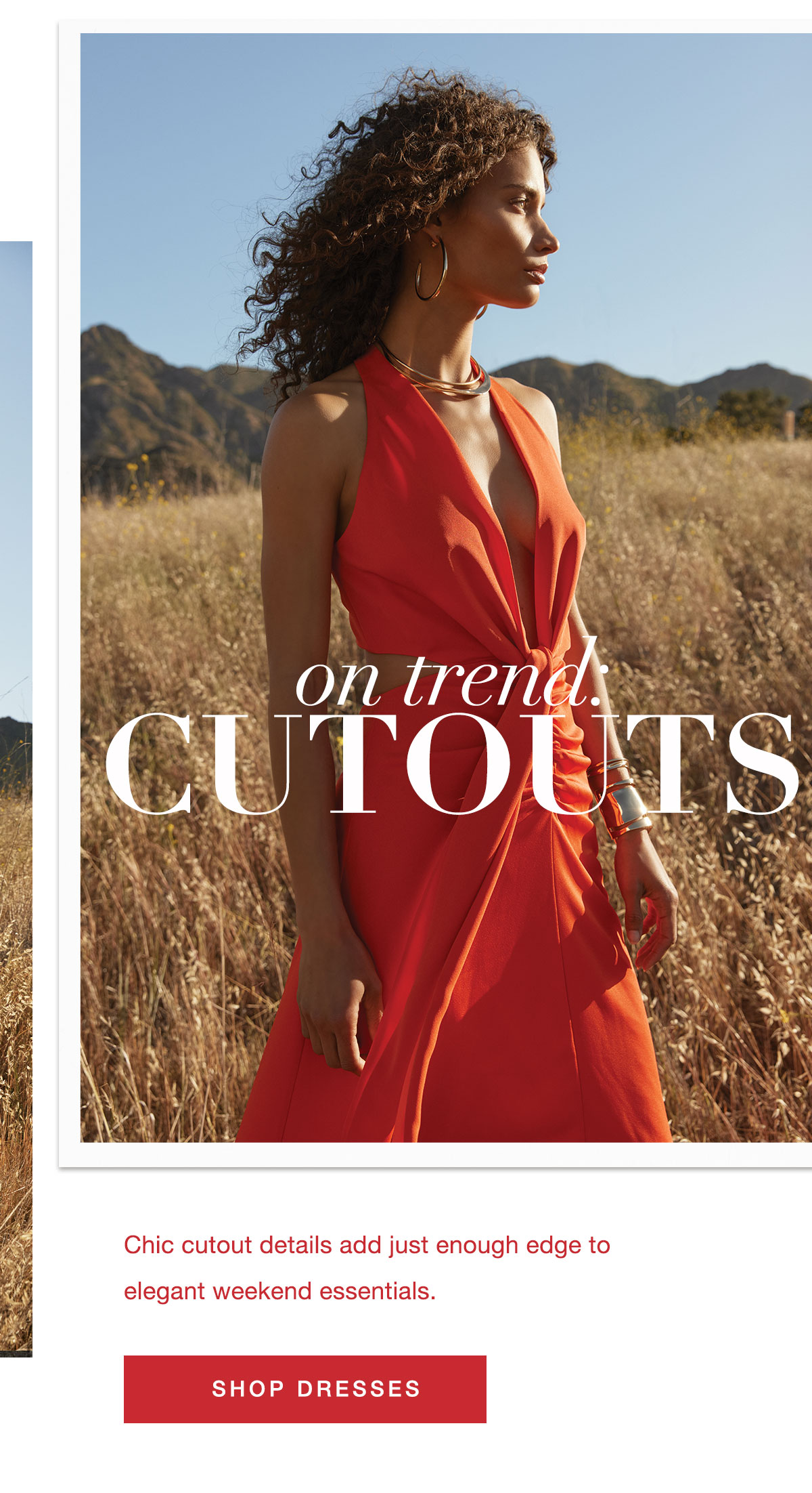 Shop Dresses