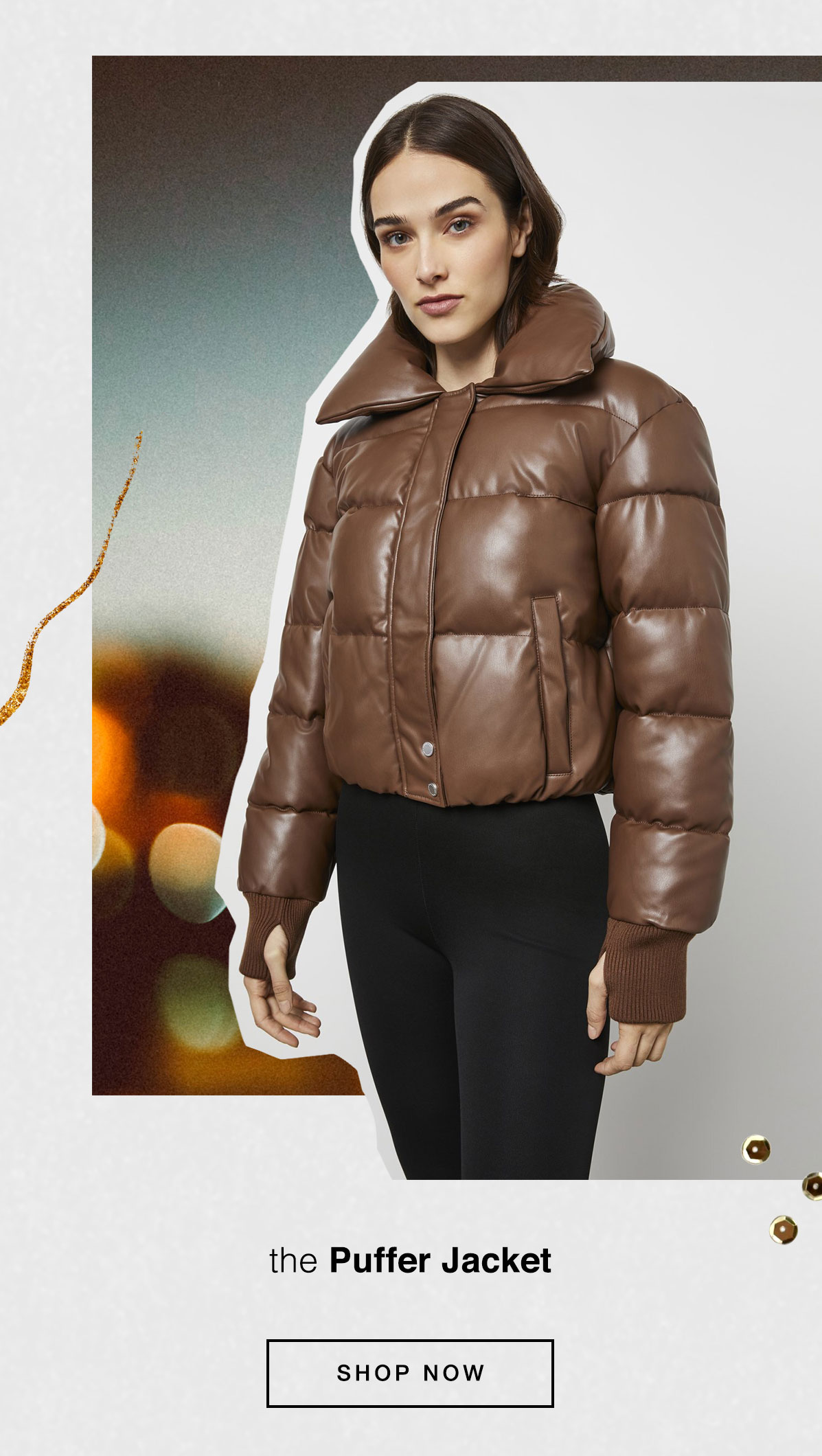 the Puffer Jacket