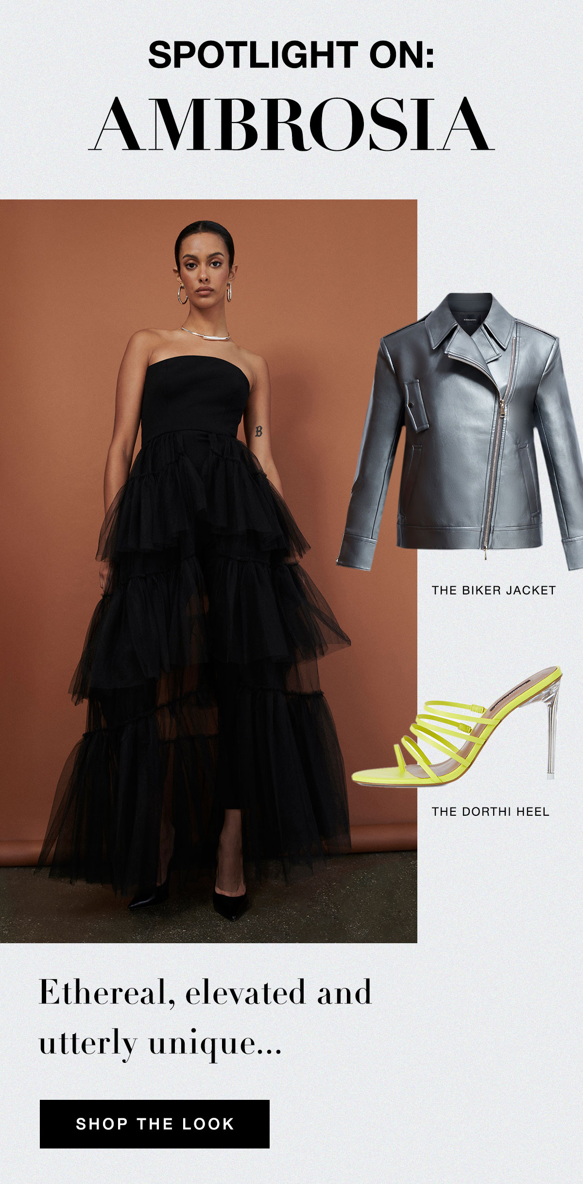 Spotlight on Ambrosia- Shop The Look