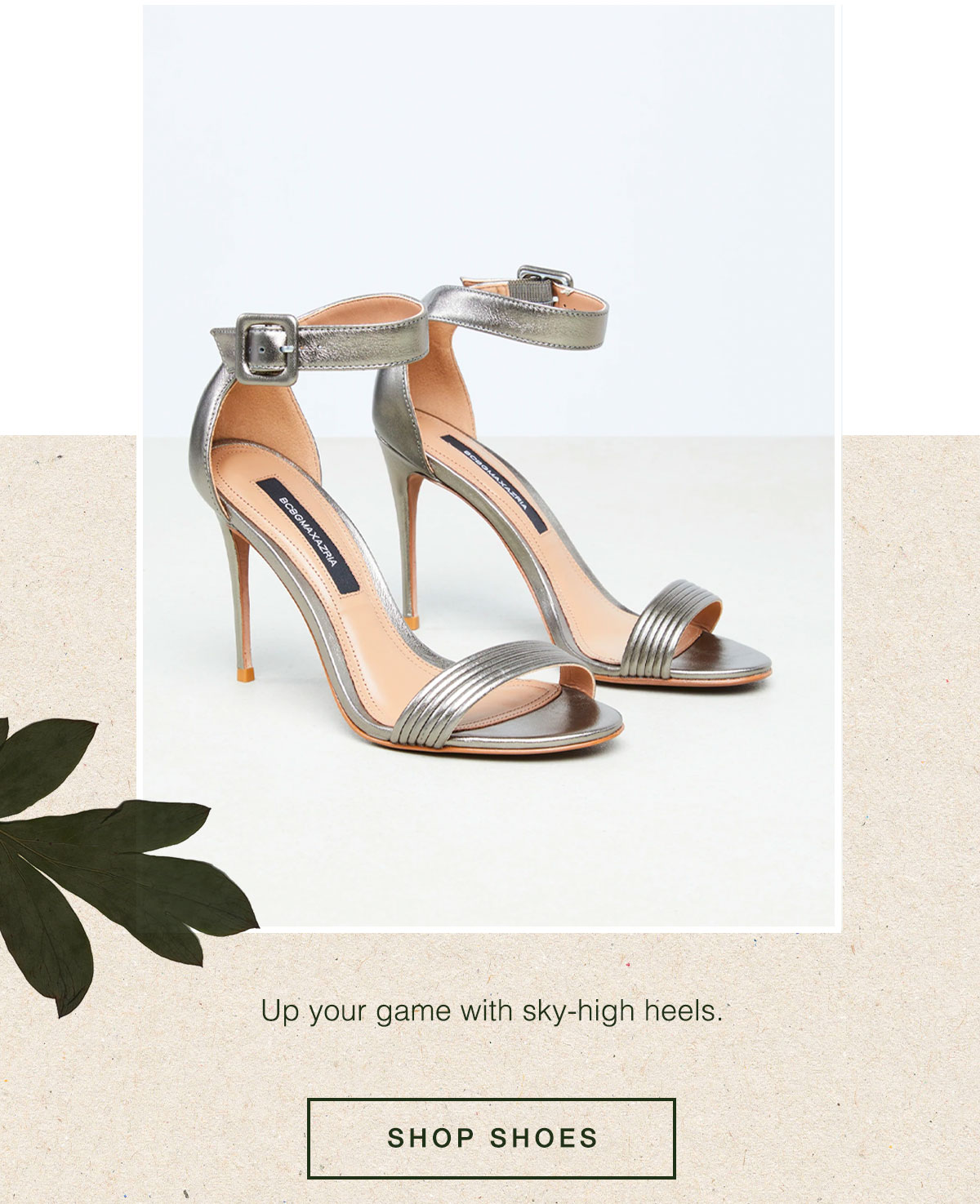 Shop Shoes