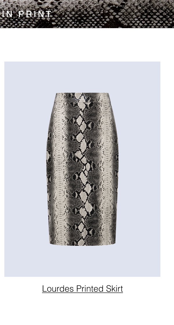 Shop the Lourdes Printed Skirt