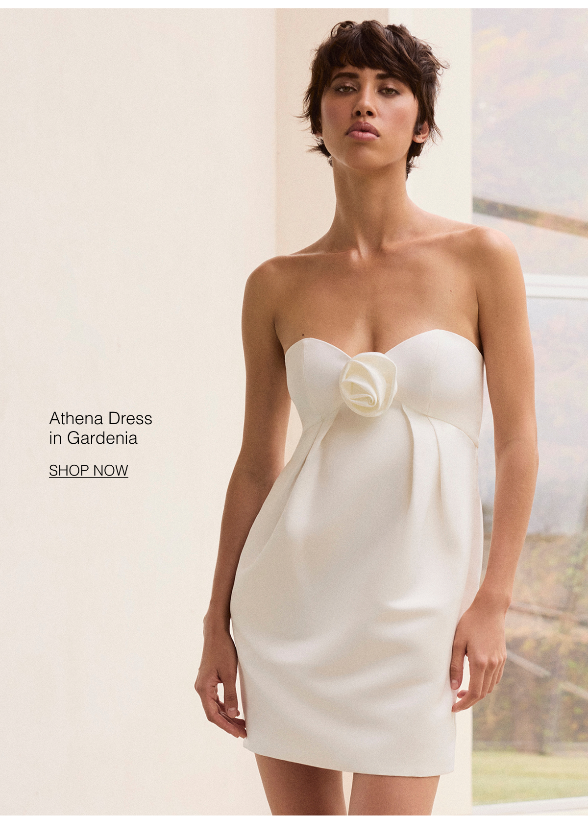 Shop the Athena Dress in Gardenia 