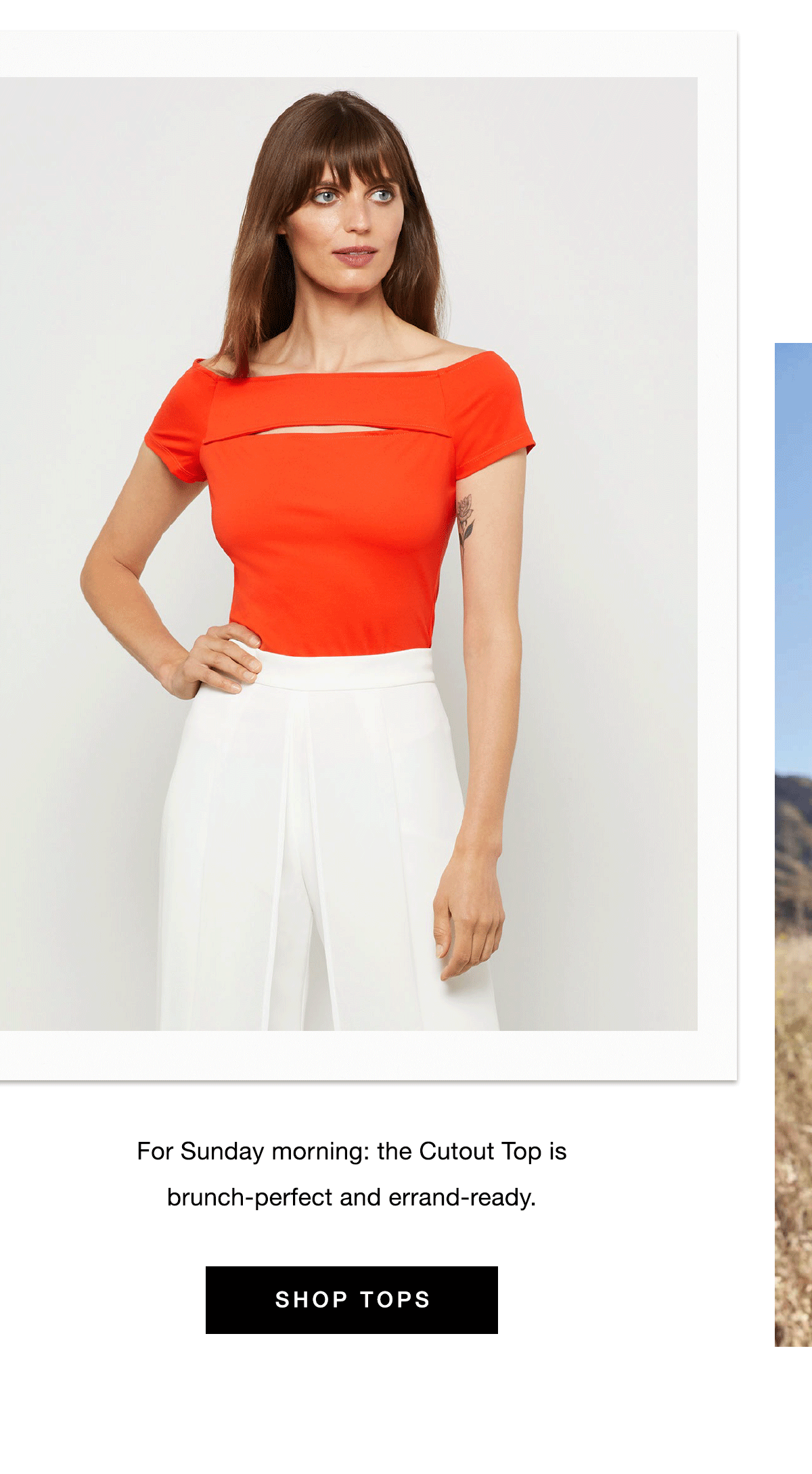 Shop Tops