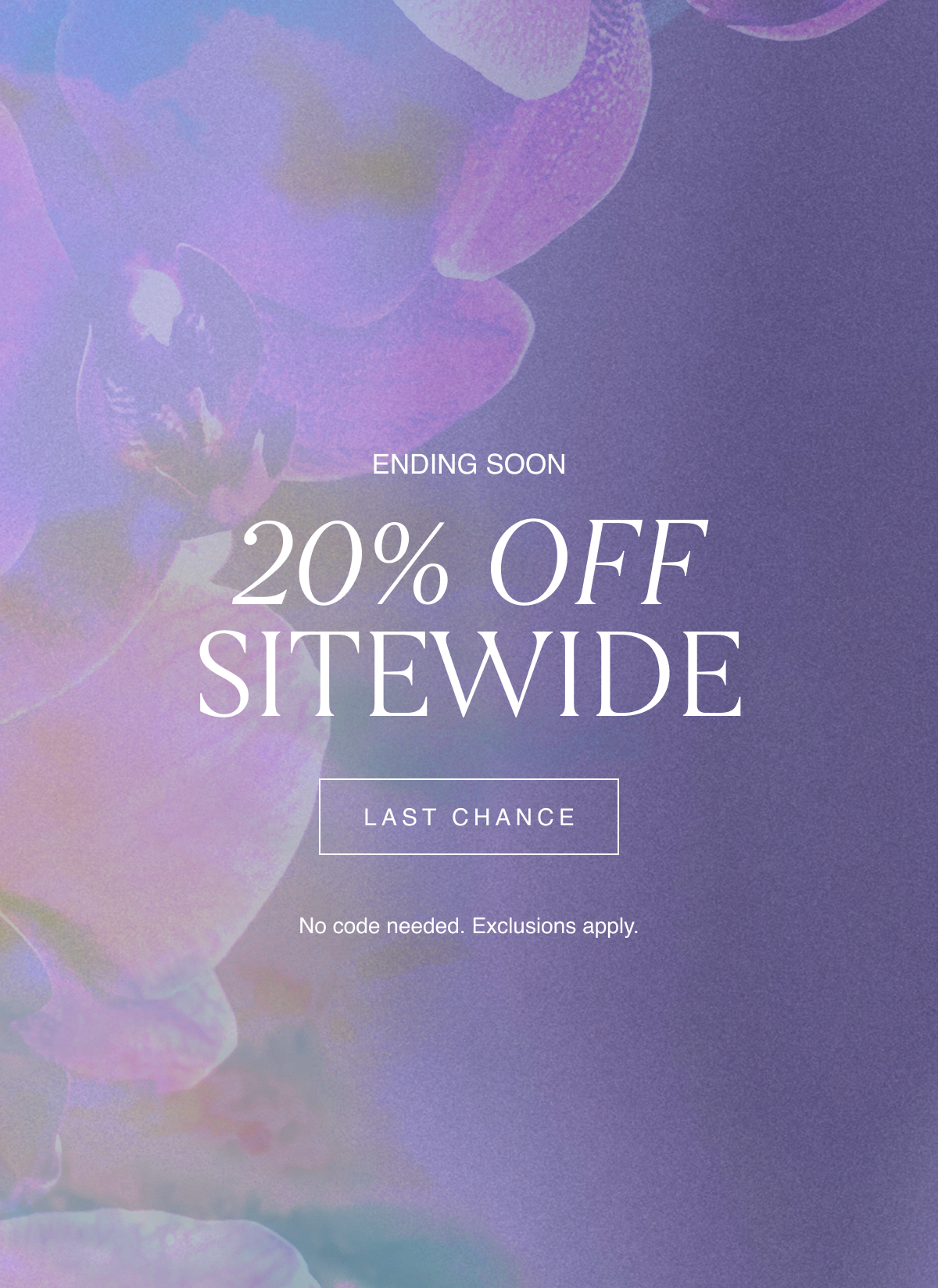 Ending Soon: 20% Off Sitewide. No code needed. Exclusions apply. Last Chance 