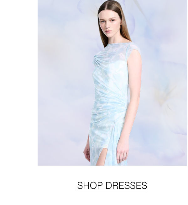 Shop Dresses